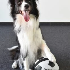 Flamingo Jouet Chien Matchball Balle De Foot 12,5cm -Nourritures pour chien 40ceb270f0ae1d84ac34a9c72537280e20e86552eaf2ba2e45995c5537755e53 scaled