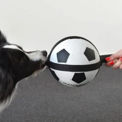 Flamingo Jouet Chien Matchball Balle De Foot 12,5cm -Nourritures pour chien 426a3b0218cf394ef522fae6b5f519bbb9a230d83d2d89068b2c2dfa66fcc061 scaled