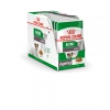 Royal Canin Mini Ageing 12+ Pour Chien 12 X 85g