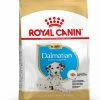 Royal Canin Dalmatien Chiot 12kg