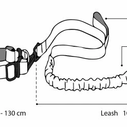 Flamingo Laisse Pour Le Jogging + Ceinture Ventrale Diran L Laisse 103cm / Ceinture 100-130cm -Nourritures pour chien 4a5cacf32ce8488dc118666210270a0aee7623af4efa6ced3652eb2281a0bd09