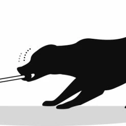 Flamingo Jouet Chien Tpr Zuki Poignée Avec Ventouse Vert -Nourritures pour chien 520d6abb90a2df2f5a0fb56a395e004baac3893687bc10e22ebed78806bbf23f