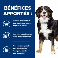 Hill's Prescription Diet Metabolic + Mobility Pour Chien Au Thon Et Au Légumes 12x354 -Nourritures pour chien 52742021669 3 FR