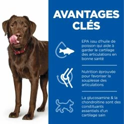 Hill's Science Plan Adult Healthy Mobility Croquettes Pour Grand Chien Au Poulet 14 Kg -Nourritures pour chien 52742026015 3 science plan healthy mobility chien adulte large croquettes poulet