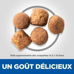 Hill's Science Plan Adult Healthy Mobility Croquettes Pour Grand Chien Au Poulet 14 Kg -Nourritures pour chien 52742026015 4 science plan healthy mobility chien adulte large croquettes poulet