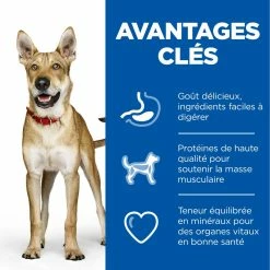 Hill's Hill’s Science Plan Adult Performance Poulet 14kg -Nourritures pour chien 52742026114 3 science plan performance chien adulte croquettes poulet.jpg