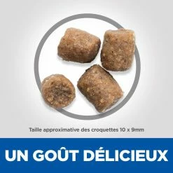 Hill's Hill’s Science Plan Adult Performance Poulet 14kg -Nourritures pour chien 52742026114 4 science plan performance chien adulte croquettes poulet
