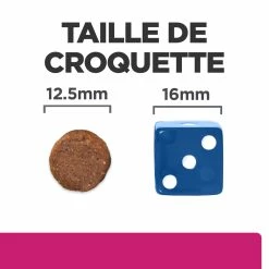 Hill's Prescription Diet Gastrointestinal Biome Croquettes Pour Chien Au Poulet - 1,5Kg 11 Hill's Prescription Diet Gastrointestinal Biome Croquettes Pour Chien Au Poulet - 1,5Kg -Nourritures pour chien 52742026855 4 FR