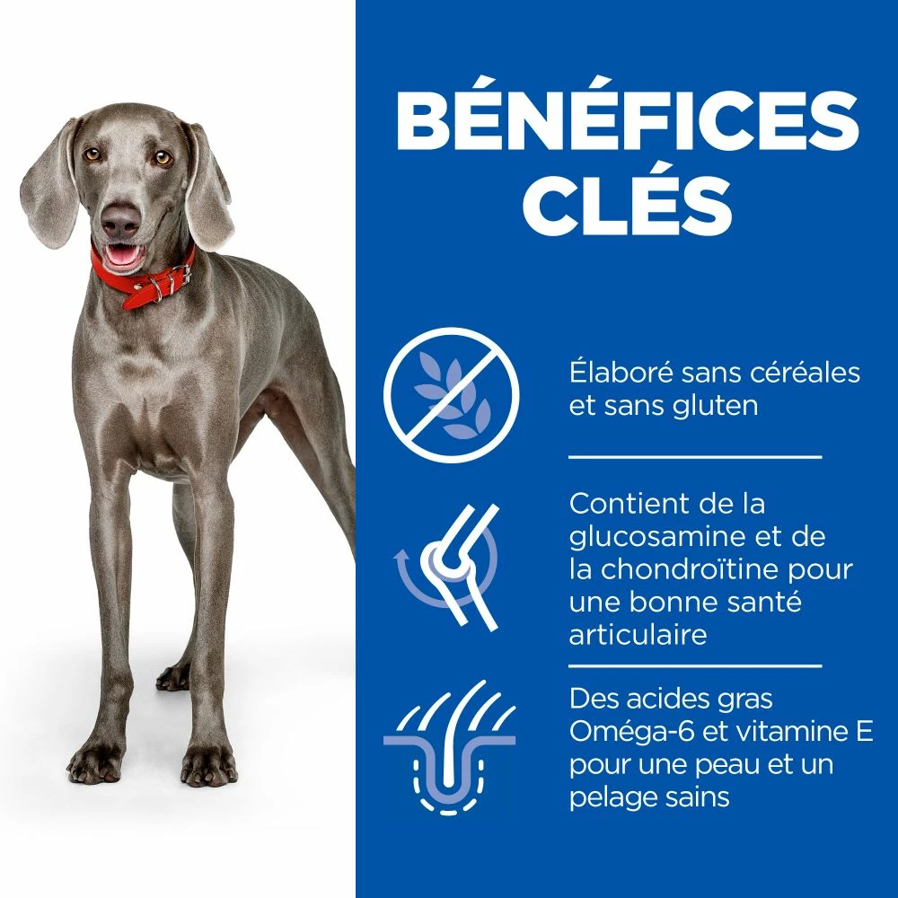 Hill's Science Plan No Grain Adult Large Breed Croquettes Sans Céréales Pour Chien Adulte De Grande Race Au Poulet - 14kg 4 Hill's Science Plan No Grain Adult Large Breed Croquettes Sans Céréales Pour Chien Adulte De Grande Race Au Poulet - 14kg – Image 4