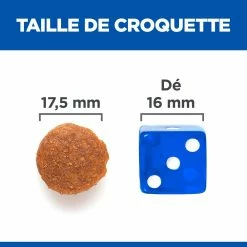 Hill's Science Plan No Grain Adult Large Breed Croquettes Sans Céréales Pour Chien Adulte De Grande Race Au Poulet - 14kg 10 Hill's Science Plan No Grain Adult Large Breed Croquettes Sans Céréales Pour Chien Adulte De Grande Race Au Poulet - 14kg -Nourritures pour chien 52742037233 5 science plan chien adult large no grain croquettes poulet