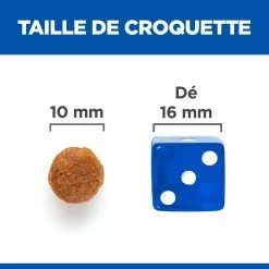 Hill's Science Plan No Grain Mature Croquettes Sans Céréales Pour Chien Âgé Au Poulet 10 Hill's Science Plan No Grain Mature Croquettes Sans Céréales Pour Chien Âgé Au Poulet -Nourritures pour chien 52742037271 5 science plan chien mature medium no grain croquettes poulet