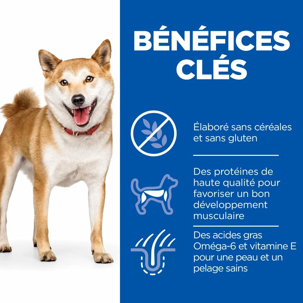 Hill's Science Plan No Grain Adult Croquettes Sans Céréales Pour Chien Adulte Au Thon - 14kg 4 Hill's Science Plan No Grain Adult Croquettes Sans Céréales Pour Chien Adulte Au Thon - 14kg – Image 4