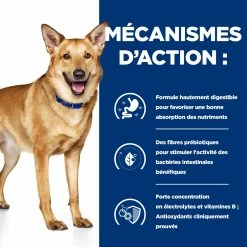Hill's Prescription Diet I/d AB+ Boîtes Pour Chien - 12 X 354g 9 Hill's Prescription Diet I/d AB+ Boîtes Pour Chien - 12 X 354g -Nourritures pour chien 52742039855 2 FR
