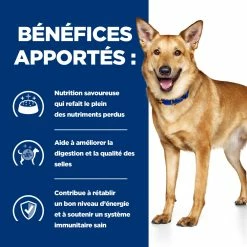 Hill's Prescription Diet I/d AB+ Boîtes Pour Chien - 12 X 354g 10 Hill's Prescription Diet I/d AB+ Boîtes Pour Chien - 12 X 354g -Nourritures pour chien 52742039855 3 FR
