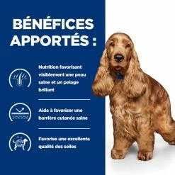 Hill's Prescription Diet Pour Chien Z/D AB+ 3Kg 10 Hill's Prescription Diet Pour Chien Z/D AB+ 3Kg -Nourritures pour chien 52742040417 3 FR