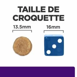 Hill's Presription Diet U/d Urinary Croquettes Pour Chien 10 Kg -Nourritures pour chien 52742041711 4 FR