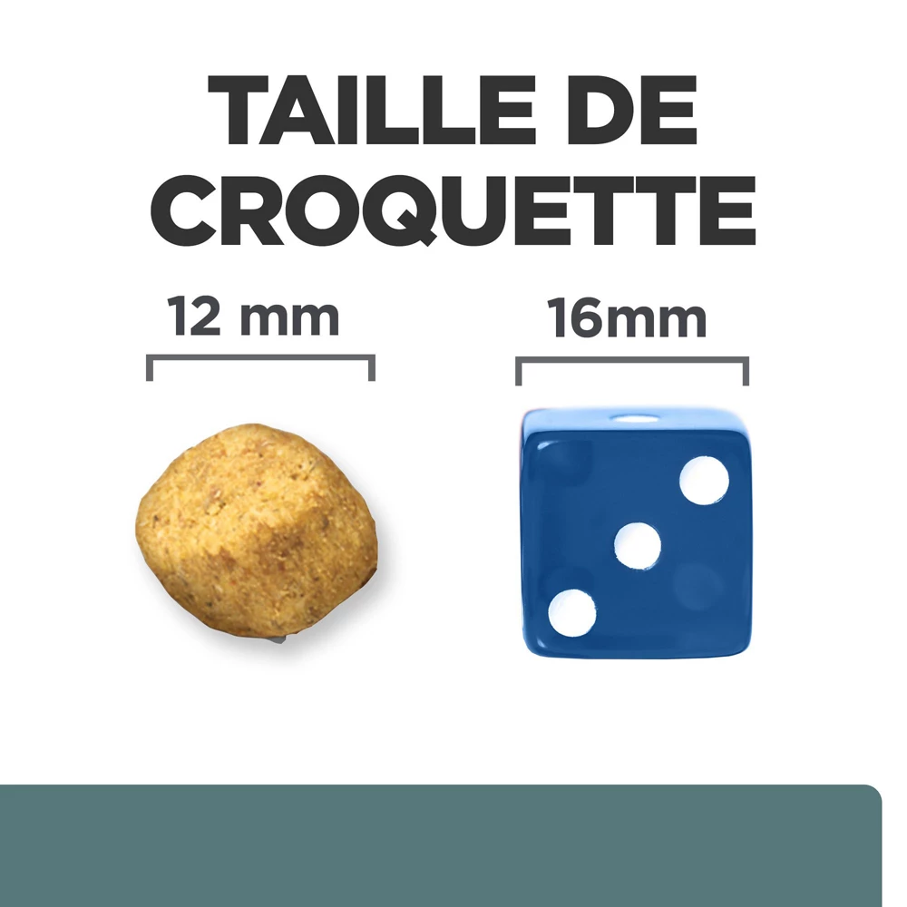 Hill's Prescription Diet W/D Diabete Croquettes Pour Chien Au Poulet 4 Kg 5 Hill's Prescription Diet W/D Diabete Croquettes Pour Chien Au Poulet 4 Kg – Image 5