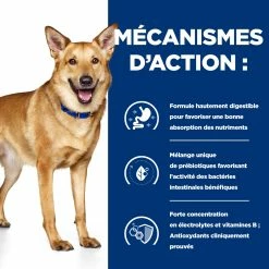 Hill's Prescription Diet I/D Digestive Croquettes Pour Chien Et Chiot Au Poulet 1,5 Kg -Nourritures pour chien 52742043166 2 FR 2