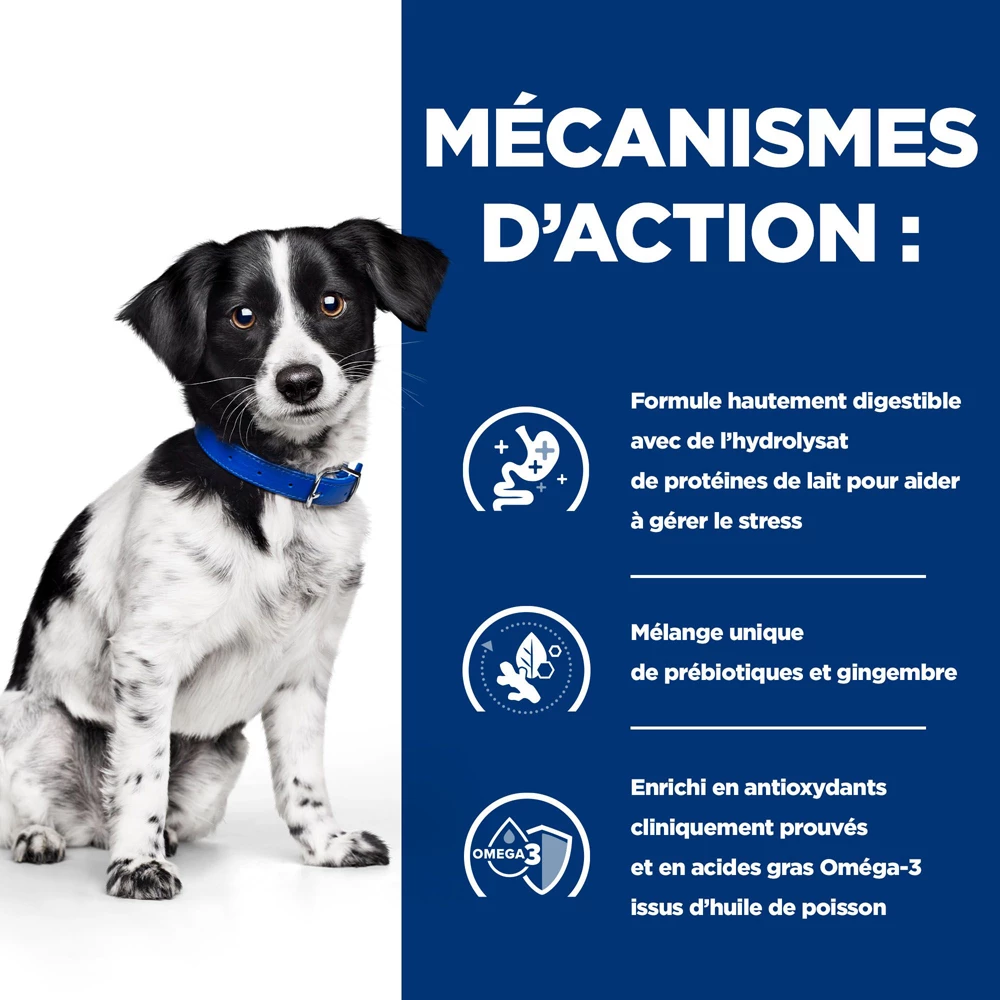 Hill's Prescription Diet I/d Stress Digestive Mini Croquettes Pour Petit Chien Au Poulet 3 Kg 3 Hill's Prescription Diet I/d Stress Digestive Mini Croquettes Pour Petit Chien Au Poulet 3 Kg – Image 3