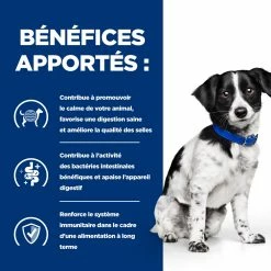 Hill's Prescription Diet I/d Stress Digestive Mini Croquettes Pour Petit Chien Au Poulet 1 Kg 10 Hill's Prescription Diet I/d Stress Digestive Mini Croquettes Pour Petit Chien Au Poulet 1 Kg -Nourritures pour chien 52742045009 3 FR 2