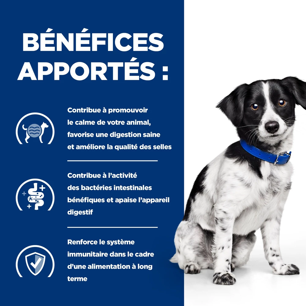 Hill's Prescription Diet I/d Stress Digestive Mini Croquettes Pour Petit Chien Au Poulet 1 Kg 4 Hill's Prescription Diet I/d Stress Digestive Mini Croquettes Pour Petit Chien Au Poulet 1 Kg – Image 4