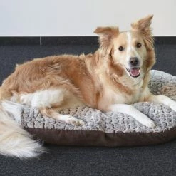 Flamingo Coussin Snoozzy Ovale Fermeture Eclair Brun 90x66x10cm -Nourritures pour chien 637512647d721696dc3779cc78818d65a2760ed947c44a595a1ea79f07552dfb scaled