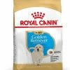 Royal Canin Golden Retriever Chiot Pour Chien 3kg