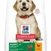 Hill's Science Plan Puppy Large Breed Pour Chien 16kg