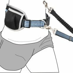 Flamingo Laisse Pour Le Jogging + Ceinture Ventrale Rono Bleu Laisse 180-250cm / Ceinture 79,5-140cm -Nourritures pour chien 73d3c513dcee7e4597c8312693f0ad1c821c6f51a7df08b1fc88babbd2d67f8e