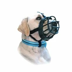 Muselière Baskerville Ultra 2 : Border Terrier, Fox Terrier, Caniche Nain, Schnauzer Nain, Whippet
