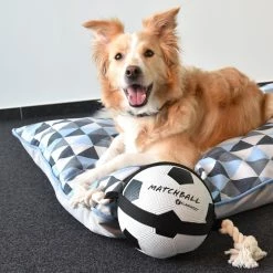 Flamingo Jouet Chien Matchball Balle De Foot 22cm -Nourritures pour chien 7f54a5a07a6894498576a130ec1fc0ca374228b762c543fcaa3964f3753d2afb scaled