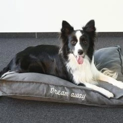 Flamingo Coussin Dream Away Rectangulaire+rebord+fermeture Eclair Gris 80x60x10cm -Nourritures pour chien 8b20af957cd0e9159fdaec088098026b839b1c665fc0ece7ca837051d3f8cebf scaled