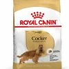 Royal Canin Cocker Adult Pour Chien 12kg