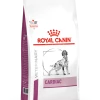 ROYAL CANIN Rc Vd Cardiac 2kg