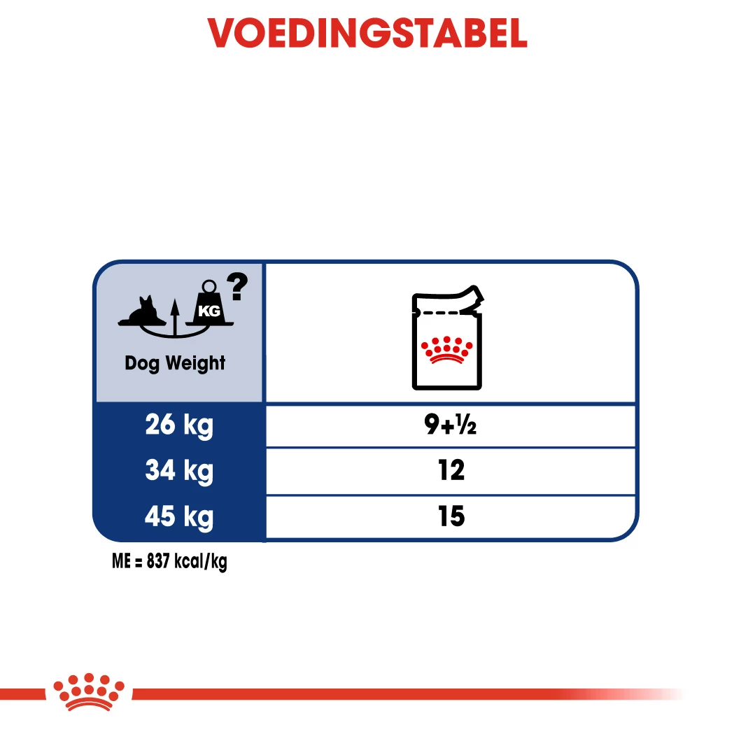 Royal Canin Maxi Ageing 8+ Pour Chien 10 X 140g 2 Royal Canin Maxi Ageing 8+ Pour Chien 10 X 140g – Image 2