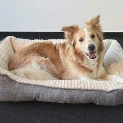 Flamingo Panier Pour Chien Zupo Rectangulaire Gris 90x65x25cm 7 Flamingo Panier Pour Chien Zupo Rectangulaire Gris 90x65x25cm -Nourritures pour chien 99b8da2ca52e00418c6ee1afd6b8fb3f19b4e81818d430d62e4894bfcde106db scaled