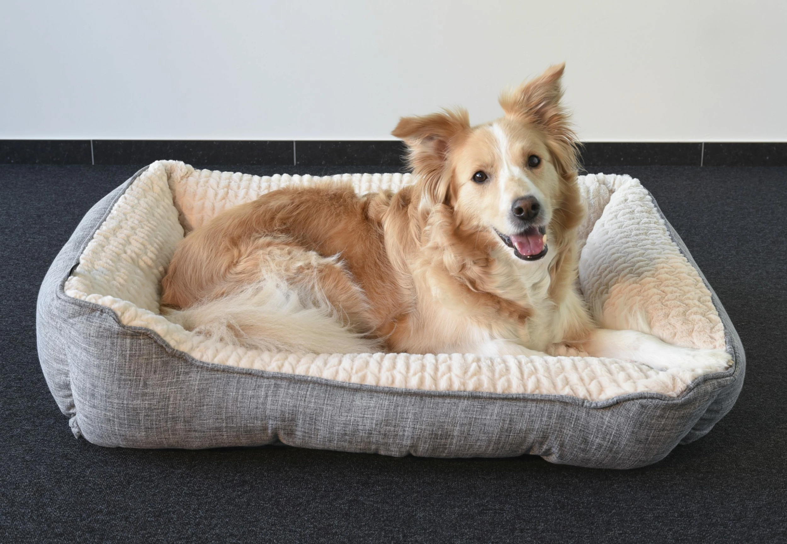 Flamingo Panier Pour Chien Zupo Rectangulaire Gris 90x65x25cm 4 Flamingo Panier Pour Chien Zupo Rectangulaire Gris 90x65x25cm – Image 4