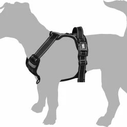 Flamingo Harnais Balou Noir XS 30-45cm 15mm -Nourritures pour chien a310fea8d611a38077501faf803b3d2fb1a96ec2e5c38fed342e77fa14897e18