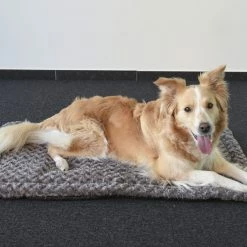 Flamingo Coussin Cuddly Plat Rectangulaire Taupe 85,5x51x2cm -Nourritures pour chien a4786eba1a7de2cc9ddc5f3f610a55677acd27983c0428209d2a3e502232cc72 scaled