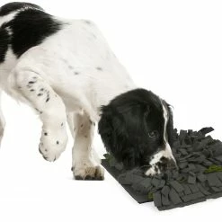 Flamingo Tapis à Renifler Amigo Rectangulaire + Fermeture Eclair Gris/vert 40x50cm -Nourritures pour chien a775a03a816b5a96e49c58cd3ecbc26540a84574cd16c3ba95abf6994148d0f2 scaled