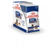 Royal Canin Maxi Ageing 8+ Pour Chien 10 X 140g