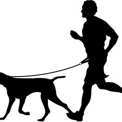 Flamingo Laisse Pour Le Jogging + Ceinture Ventrale Diran L Laisse 103cm / Ceinture 100-130cm -Nourritures pour chien b4703c644b1bce39aee273a7248cc80789abff62e15be4db28994a561ddda0c8