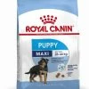 Royal Canin Maxi Chiot Pour Chien 4kg