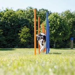 Trixie Slalom Fun Agility -Nourritures pour chien bb55456ec35f6b09469109c025cb2b117c1a7e9435aae34b494b5f3304356ec8