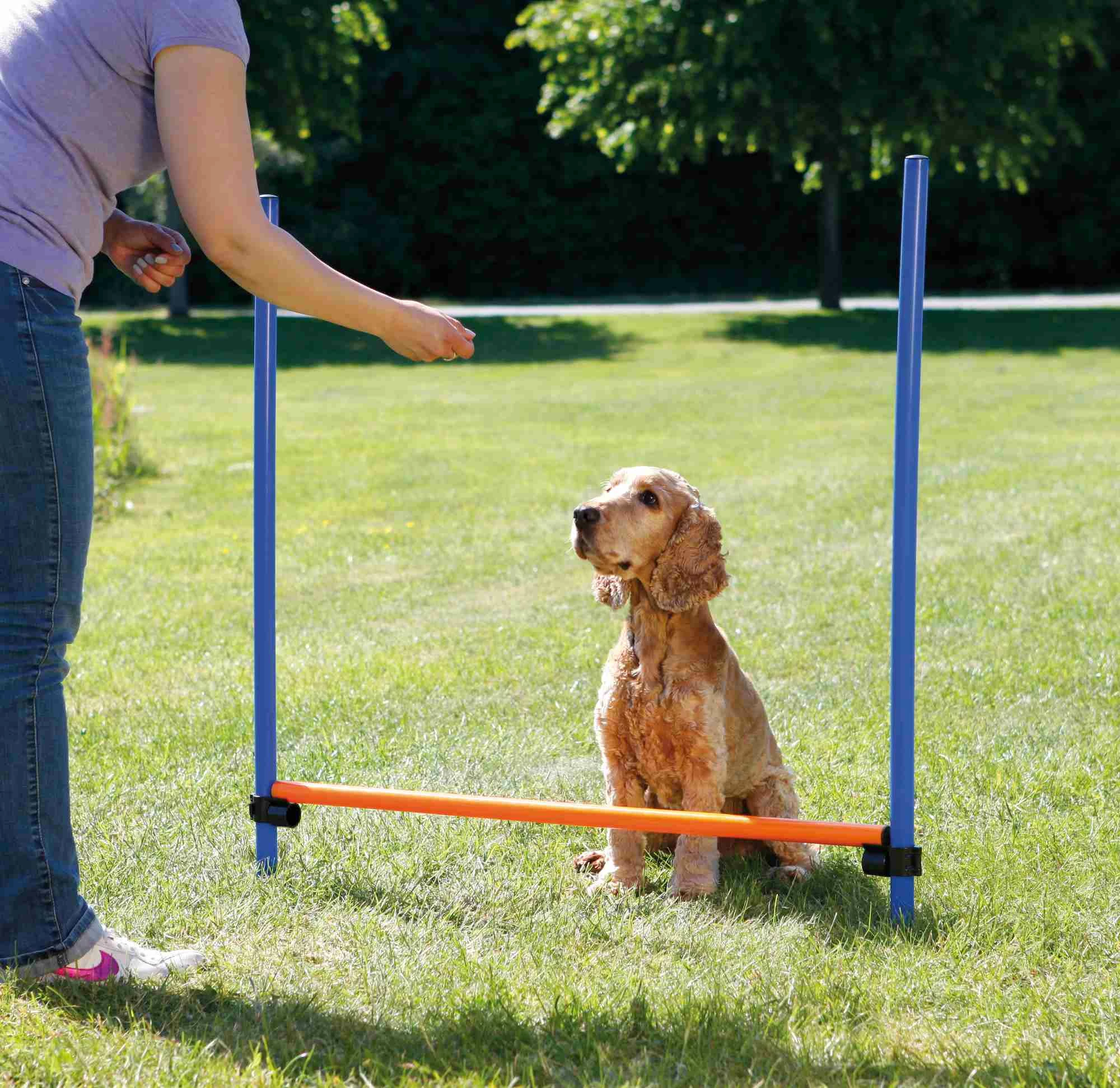 Trixie Obstacle Fun Agility 3 Trixie Obstacle Fun Agility – Image 3
