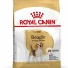 Royal Canin Beagle Adult Pour Chien 3kg