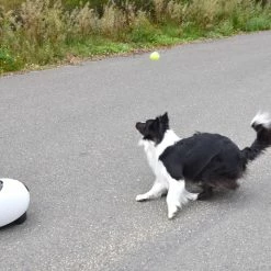 Flamingo Jouet Chien Elton Interactif Distributeur Automatique De Friandises+balles De Tennis 33x24x29cm 19 Flamingo Jouet Chien Elton Interactif Distributeur Automatique De Friandises+balles De Tennis 33x24x29cm -Nourritures pour chien cbb3ba05b8066ea246a2bc1a26978531b6e24a1e3315a5847be7e78fa7441235 scaled