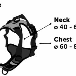 Flamingo Harnais Balou Noir L 60-85cm 25mm -Nourritures pour chien d107dfd0334b0bc9a971219dd180accb8e95903a57567a2bd59545c8d8e80268