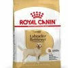 Royal Canin Labrador Retriever Adult Pour Chien 3kg