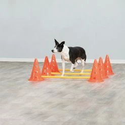 Trixie Set D'obstacles Sur Pylône - Set De 3 Pcs -Nourritures pour chien d5ec656df972a457336805e9f6303f9fc307ae9119062b668684bdb0fa738b30